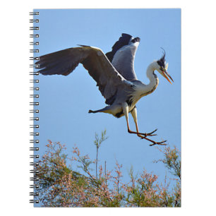 Grey heron arriving at the top of a tree notebook