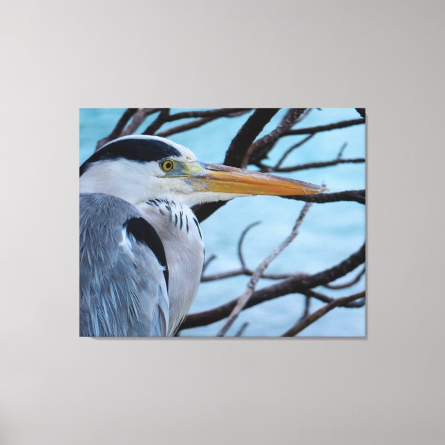 Grey Heron Canvas Print (Front)