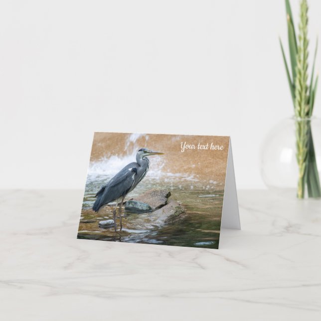 Grey Heron Greeting Card (Front)