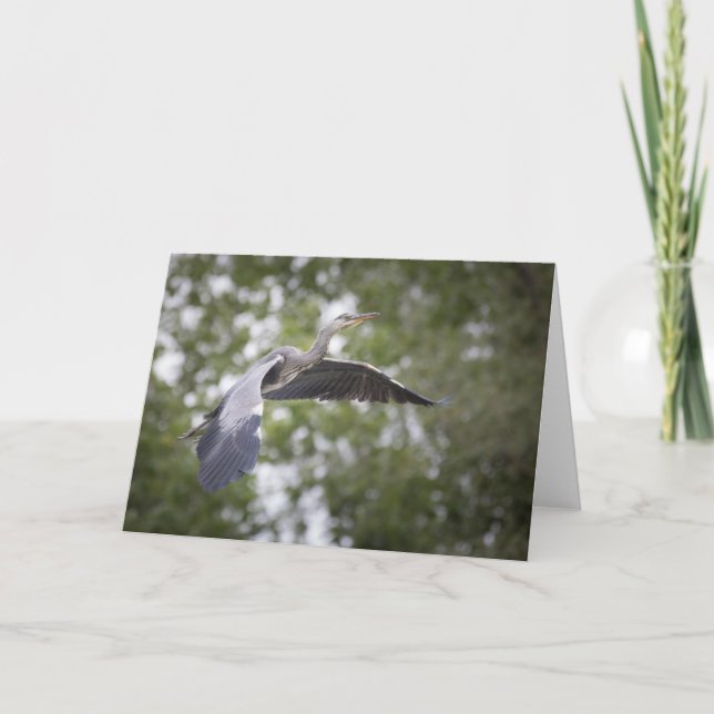 Grey Heron Nature Photo Card (Front)