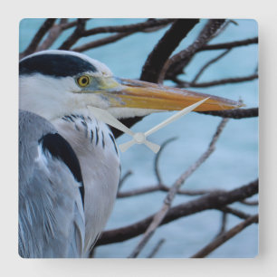 Grey Heron Square Wall Clock