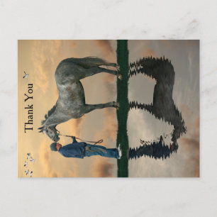 Grey Horse And Groom OTTB Postcard