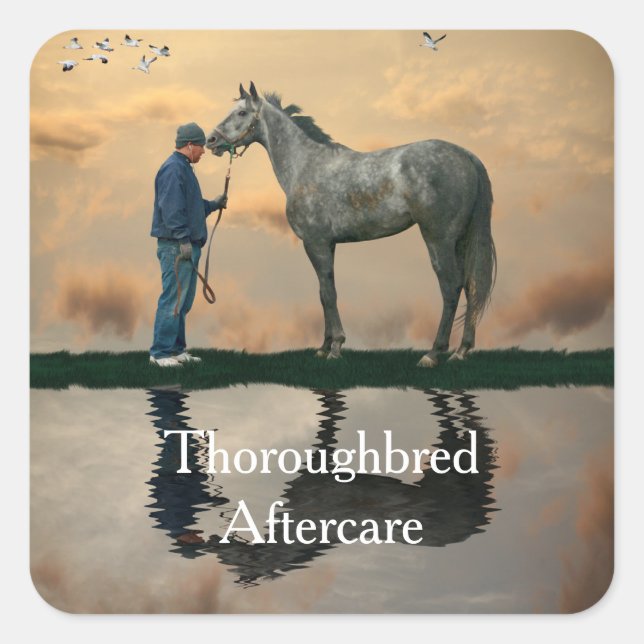 Grey Horse And Groom OTTB Stickers (Front)