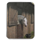 Grey Horse at the Stable Door