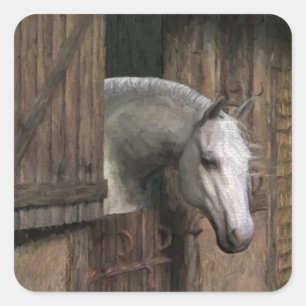 Grey Horse at the Stable Door Square Sticker