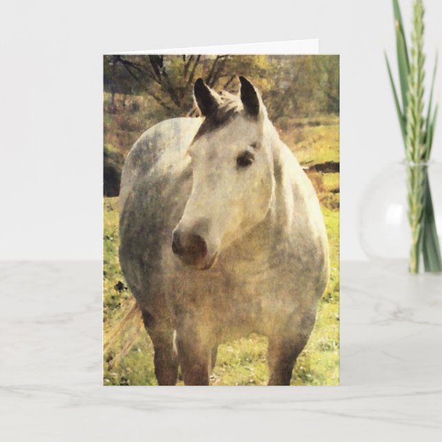 Grey Horse Birthday Card (Front)