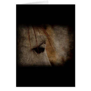 Grey Horse Face Grunge