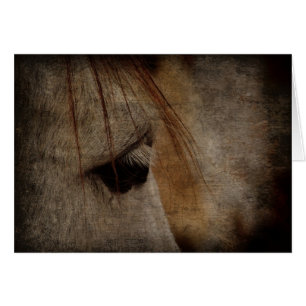 Grey Horse Face Grunge