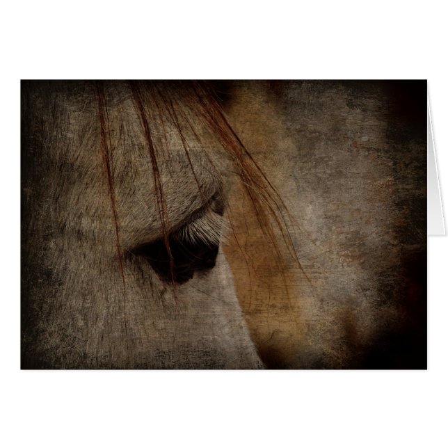 Grey Horse Face Grunge (Front Horizontal)