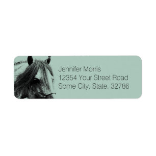 Grey Horse Head