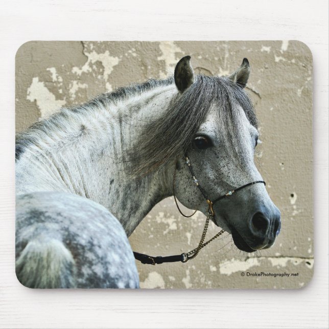 Grey Horse Head Mouse Mat (Front)