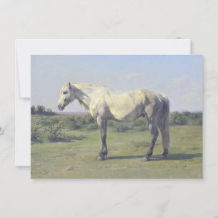 Grey Horse in a Field (by Rosa Bonheur) Card