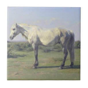 Grey Horse in a Field (by Rosa Bonheur) Tile