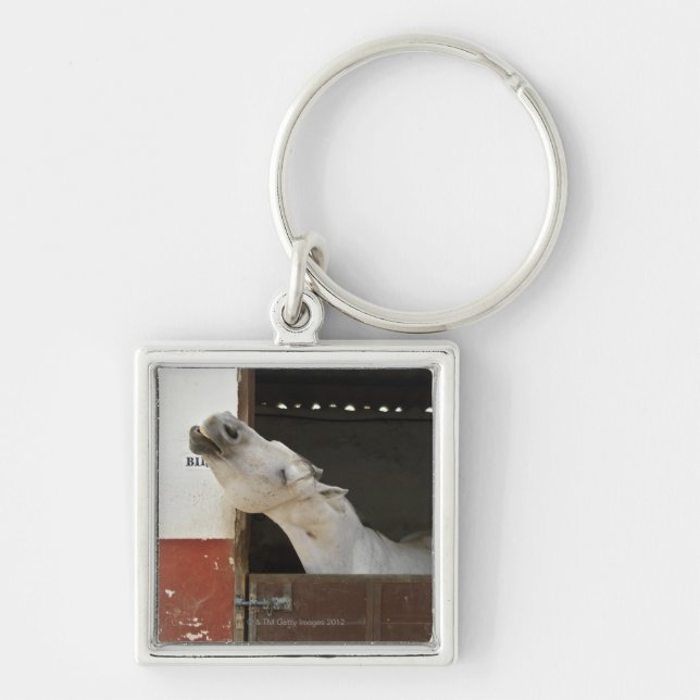 Grey horse in a stable key ring (Front)