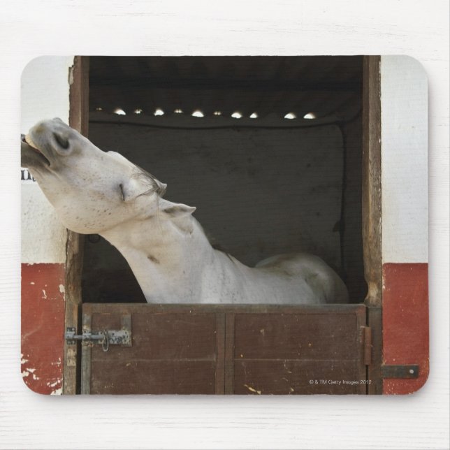 Grey horse in a stable mouse mat (Front)