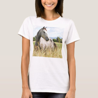 Grey Horse in Paddock Long Sleeve Ladies T-Shirt
