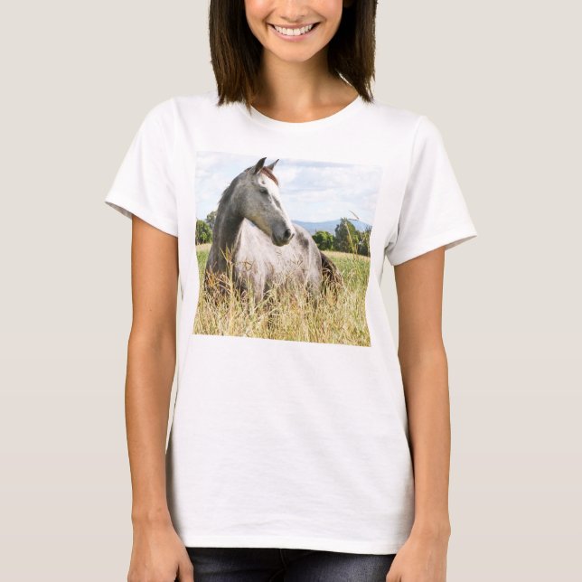 Grey Horse in Paddock Long Sleeve Ladies T-Shirt (Front)