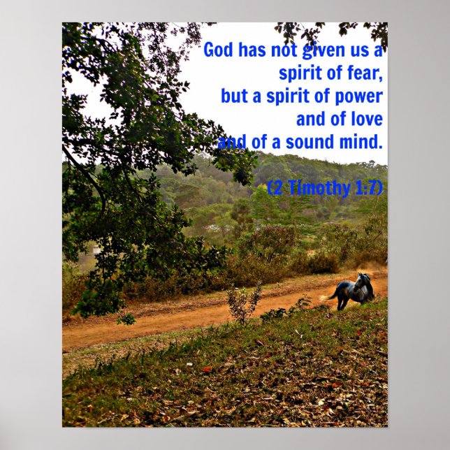 Grey horse inspirational Timothy Bible Verse God Poster (Front)
