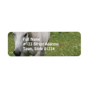 Grey Horse  Mailing Labels
