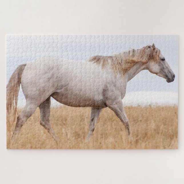 Grey horse walking through field jigsaw puzzle (Horizontal)