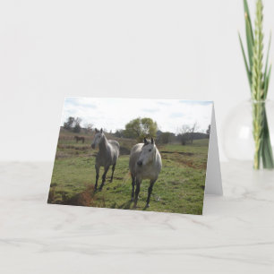 Grey Horses Card