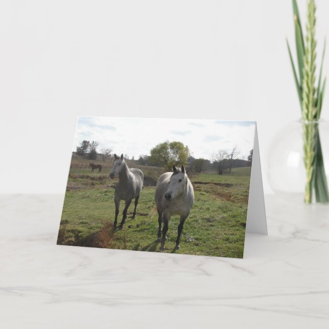 Grey Horses Card (Front)