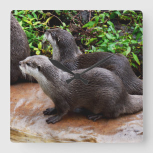 Grey Hungry Otters, Square Wall Clock