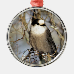 Grey Jay Metal Tree Decoration