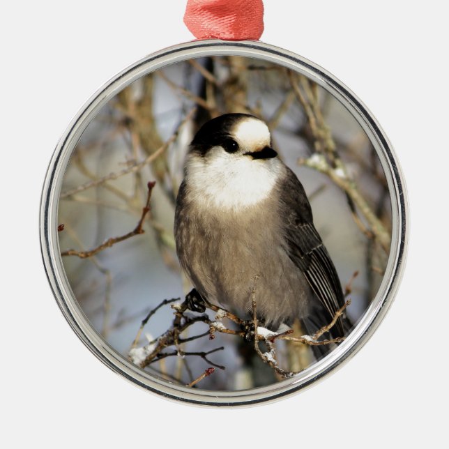 Grey Jay Metal Tree Decoration (Front)