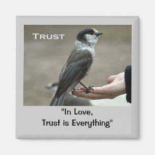 Grey Jay Motivational Magnets