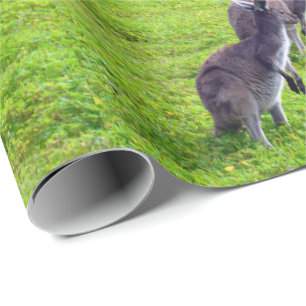 Grey Kangaroos On Green Grass, Wrapping Paper