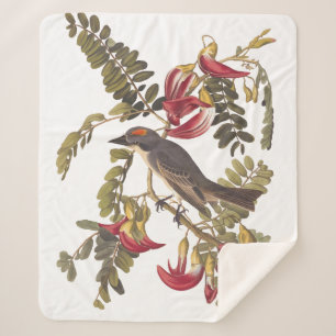 Grey Kingbird Audubon Bird on Flowering Tree Sherpa Blanket
