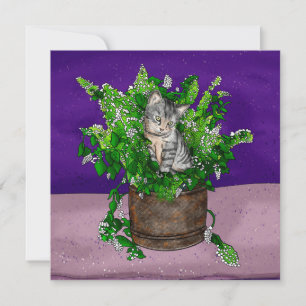 Grey Kitten in Bucket of Catnip Thank You Card