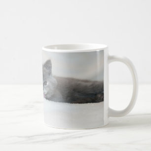 Grey Kitten Licking Snow Coffee Mug