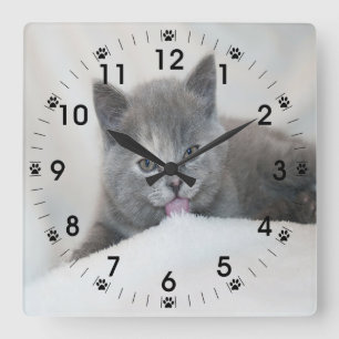 Grey Kitten Licking Snow Square Wall Clock