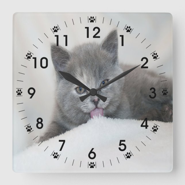 Grey Kitten Licking Snow Square Wall Clock (Front)