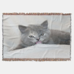 Grey Kitten Licking Snow Throw Blanket