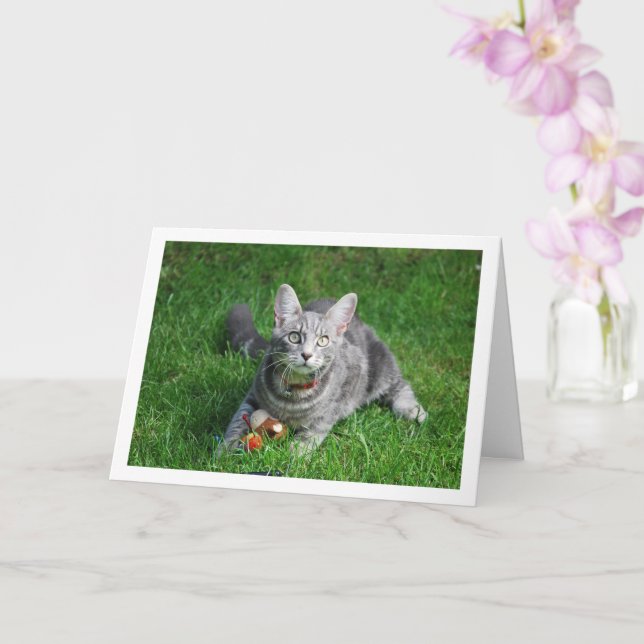 Grey Kitten on Lawn with Toy Card (Orchid)