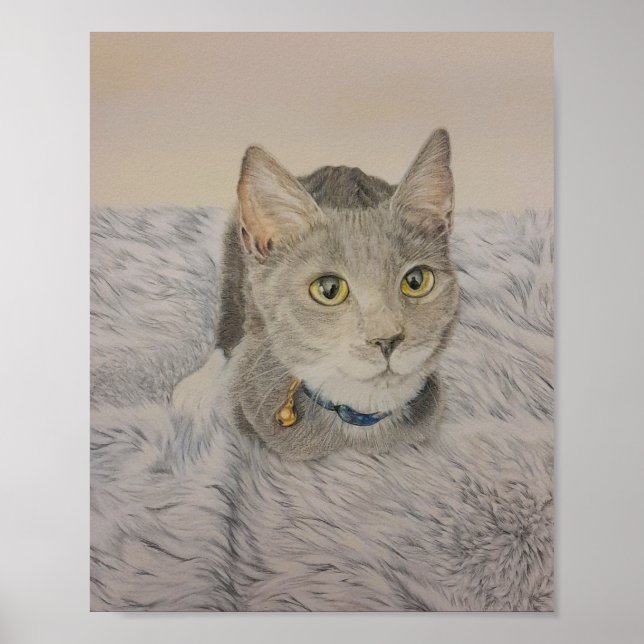 Grey Kitten Poster (Front)