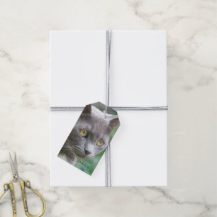 Grey Kitty Cat Gift Tags