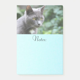 Grey Kitty Cat Post-it Notes