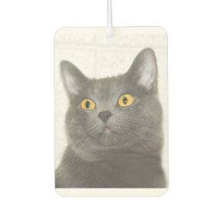 Grey kitty face car air freshener