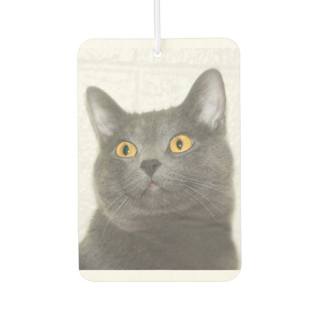Grey kitty face car air freshener (Front)