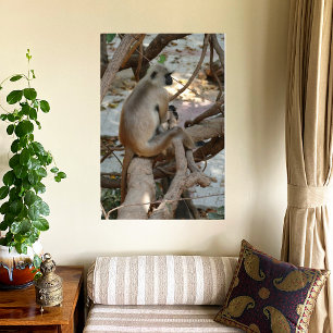 Grey Langur - Take a Rest Canvas Print