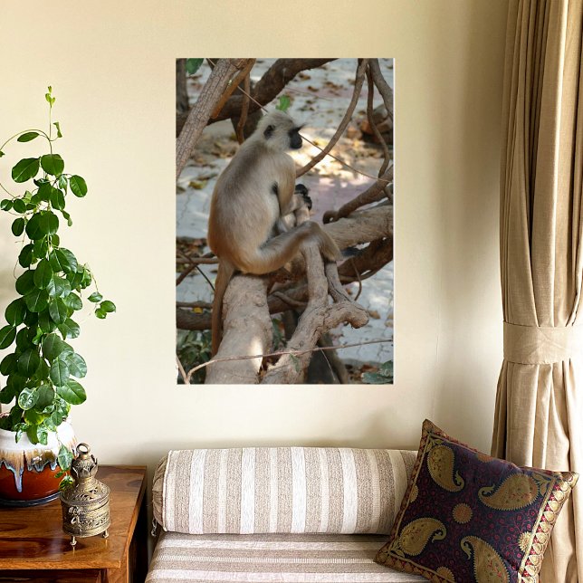 Grey Langur - Take a Rest Canvas Print (Creator Uploaded)