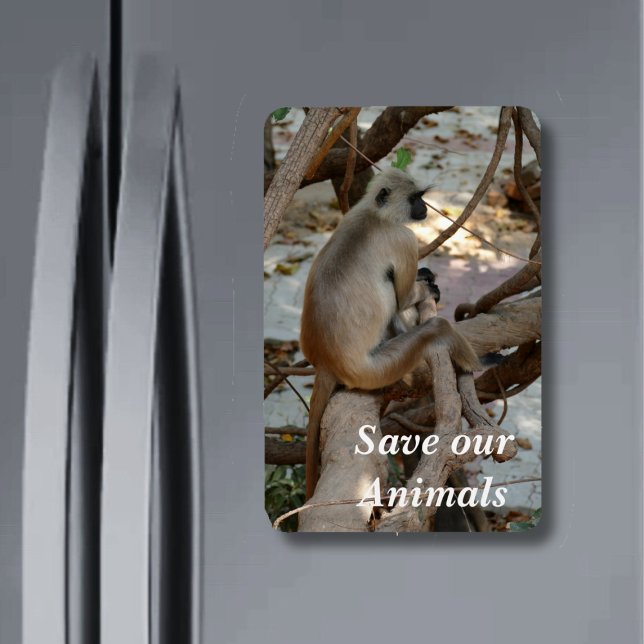 Grey Langur - Take a Rest Magnet (Creator Uploaded)