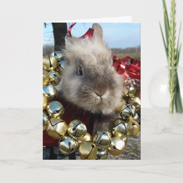Grey Lionhead Bunny Christmas Holiday Card (Front)
