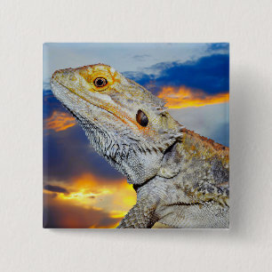 Grey Lizard at sunset 15 Cm Square Badge
