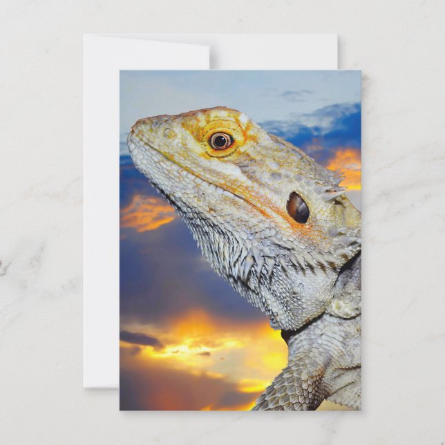 Grey Lizard at sunset Invitation (Front)