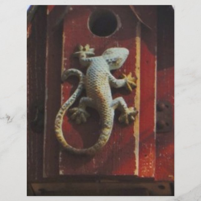 grey lizard on worn wood (Front)